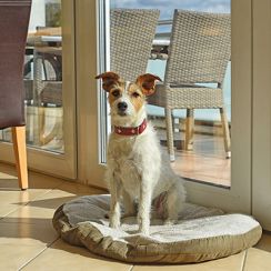 Ostseeresidenz Schönberger Strand, Ferienwohnung, Hund